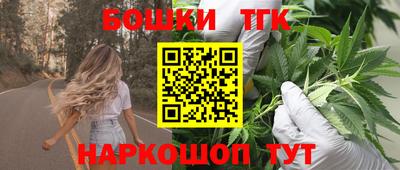 молекула духа Пугачёв