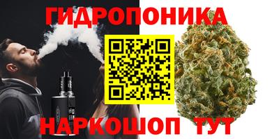 СК Пушкино